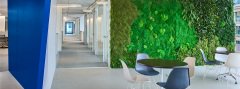 Green Wall